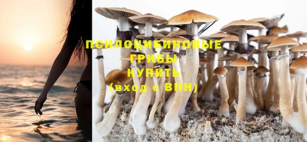 соль курить ск Зеленокумск