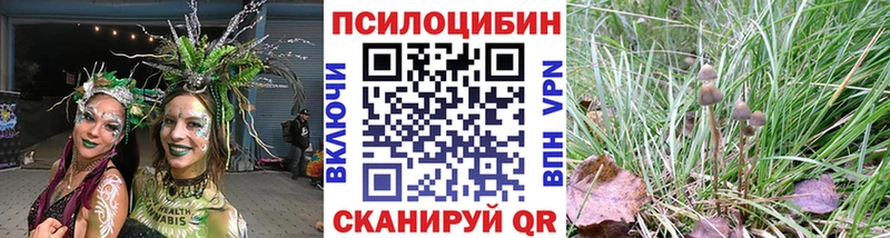 Купить где  Гусь-Хрустальный  Псилоцибиновые грибы Psilocybine cubensis 